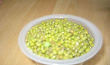 观察日记泡豆子