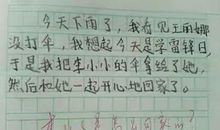 我的小熊作文
