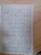 500字