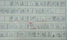 春天里的新发现作文