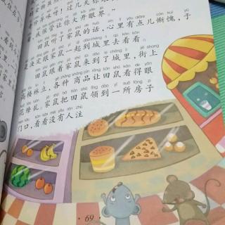 田鼠和家鼠