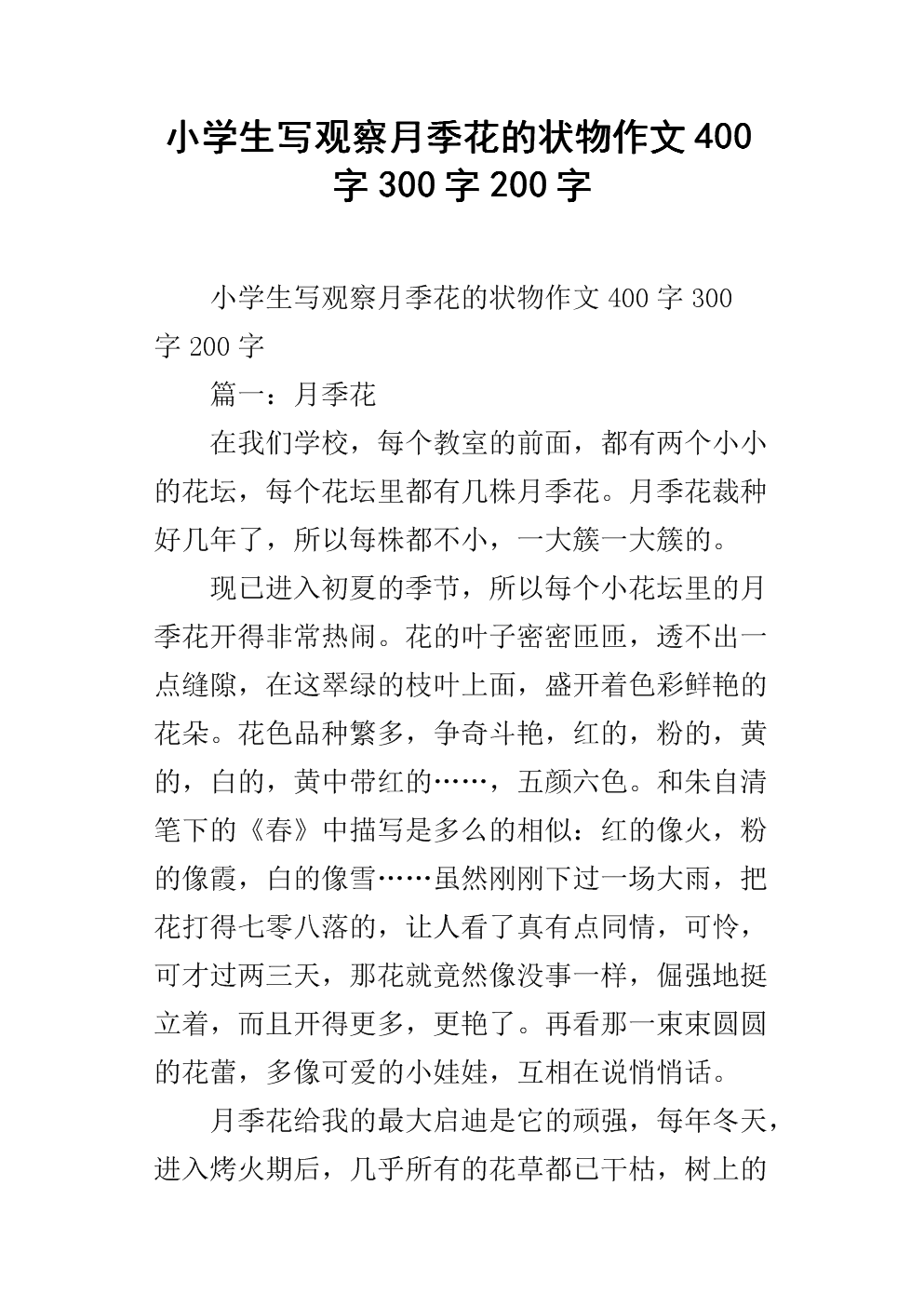 中国玫瑰作文300字