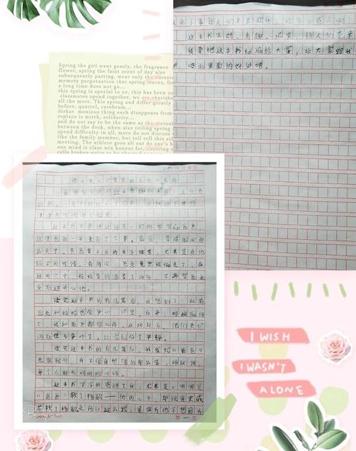 我哥哥和爸爸看完书后的感受
