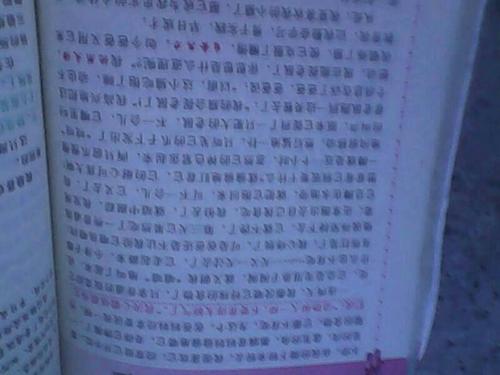 600字写动物构图