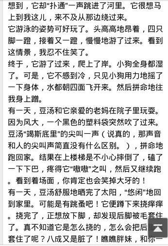 动物组成概论