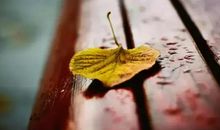 60后父亲对90后儿子的忠告，句句精辟