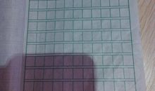 春天美丽的校园作文