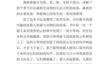 唐吉诃德读后感600字