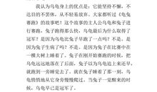 我的小乌龟作文