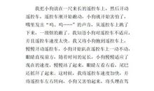 观察日记动物小狗