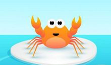 观察小动物的日记