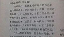 我最喜欢的季节作文