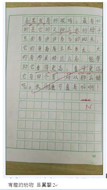 描述二年级动物的作品
