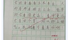 二年级描写动物的作文