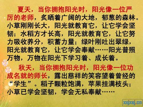 奉献主题组成