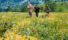 天堂的颜色读后感