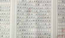 那声亲切的呼唤作文