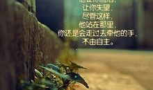 说好不用情，我却动了心