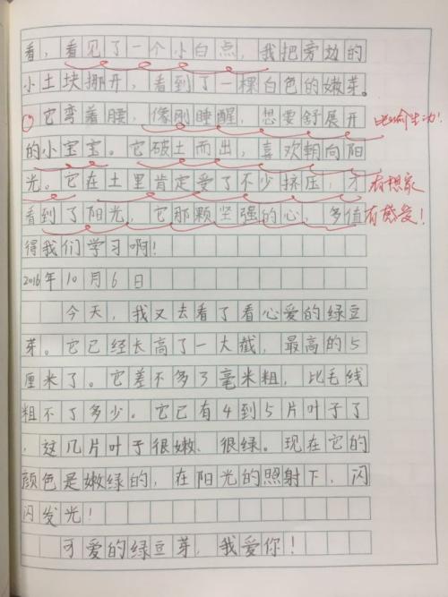 四年级日记