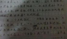 一件难忘的事600字