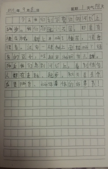 250字日记