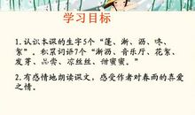 春天的小雨作文