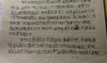 小学生读后感450字