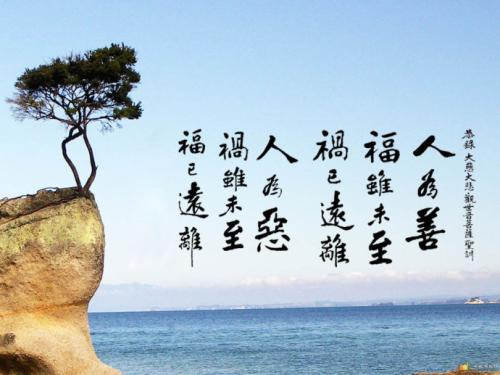机敏的最高状态是善良