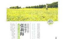 一个人，一座城，一生心疼