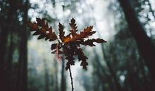 经典语句:人生中,懂比爱,更重要