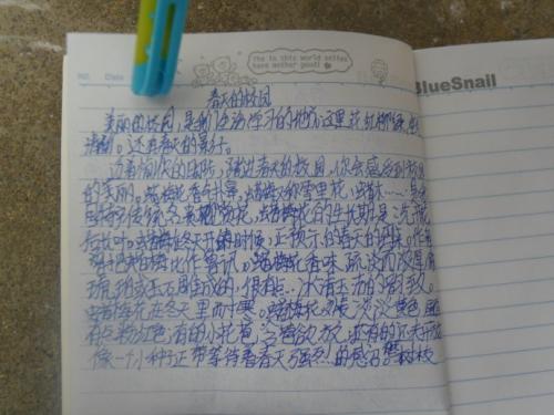 社会生活组成