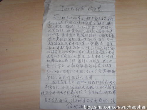 阳光的气味
