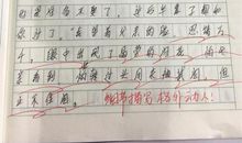 写人品质的作文