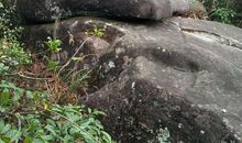 仅仅朝向高处的奋斗