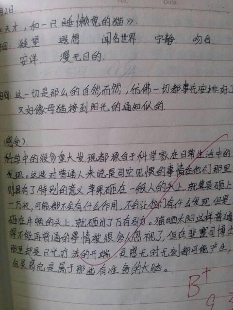 阅读5篇文章后100个单词