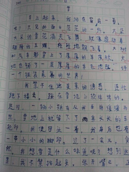 那天我很高兴，作文400字