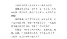 我的理想300字