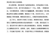 你在我心中作文600字