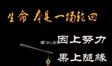 经典语录：因上努力，果上随缘