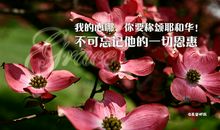 经典语句：我攥着一颗属于我的心