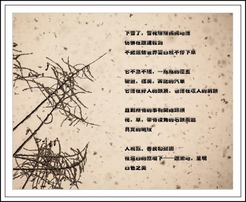 与谁竞争