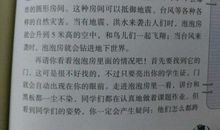 未来的学校600字作文