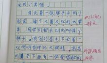 关于我的自画像作文