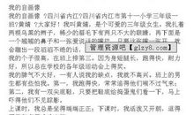 我的自画像作文300字