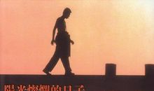 阳光灿烂的日子读后感