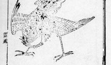 鲁迅阿长与山海经读后感