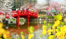 美就在我们身边