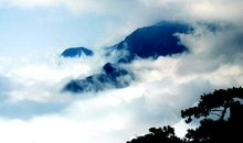 庐山的云雾读后感