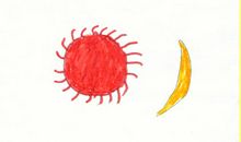 我的理想当一名医生