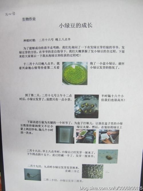 观察日记植物